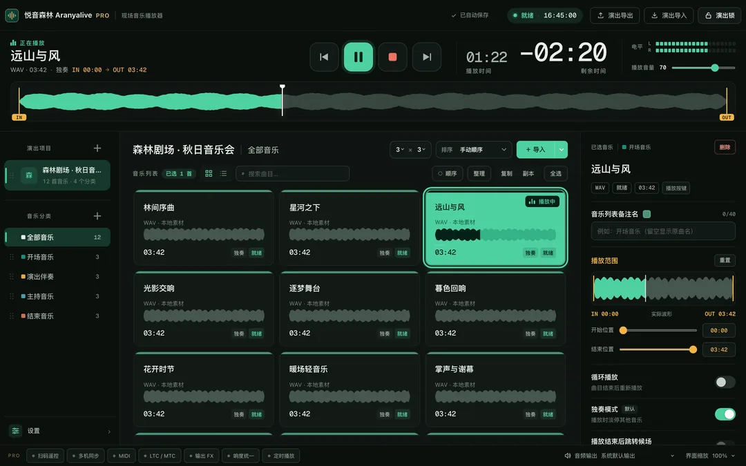 专业版真实界面